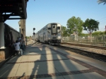 The trees casting shadows on the incoming Amtrak train